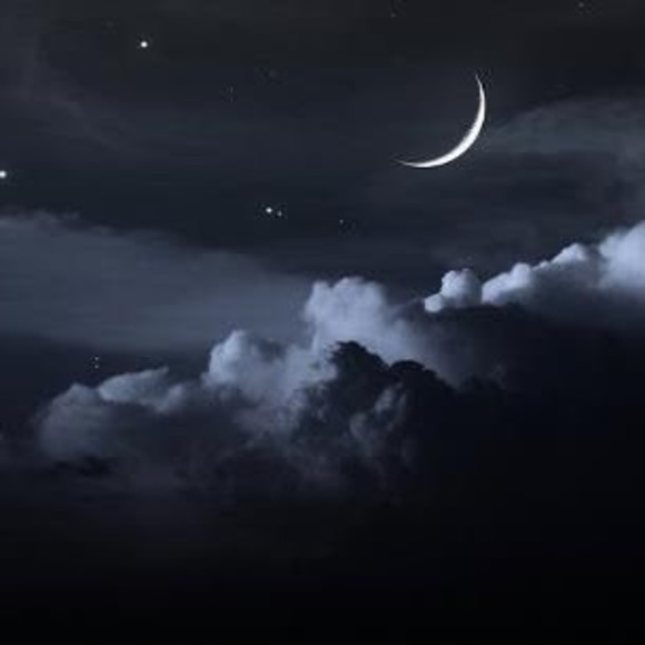 Meet your Posher, Emily - Picture 1 of 1